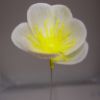 Picture of PLASTIC MINI XMAS ROSE X 100 WHITE