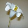 Picture of PLASTIC HARISSI LILY X 100 WHITE