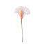 Picture of PLASTIC CALLA LILY X 100 WHITE