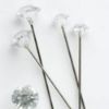 Picture of 5cm (2 INCH) DIAMANTE PINS CLEAR X 100