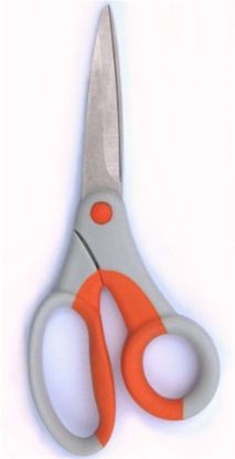 Picture of 21cm FLORAL TOUCH BIOGUARD TITANIUM COATED SCISSORS