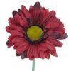 Picture of SINGLE GERBERA 21 INCH RED