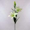 Picture of 84cm CASABLANCA LILY SPRAY CREAM X 24pcs (KNOCK DOWN PACKAGING - HEADS NEED ATTACHING)