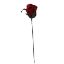 Picture of 24cm TIGHT ROSEBUD RED X 72pcs