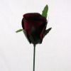 Picture of 24cm TIGHT ROSEBUD RED X 72pcs