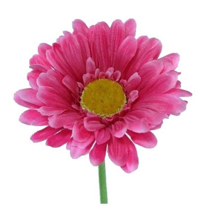 Picture of SINGLE GERBERA 21 INCH HOT PINK