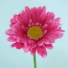 Picture of SINGLE GERBERA 21 INCH HOT PINK