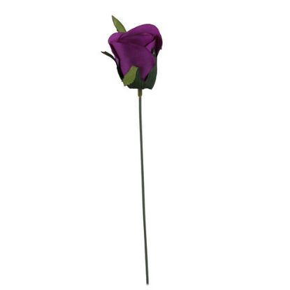 Picture of 24cm TIGHT ROSEBUD CAD PURPLE X 72pcs