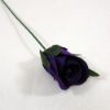 Picture of 24cm TIGHT ROSEBUD CAD PURPLE X 72pcs