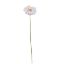 Picture of SINGLE GERBERA 21 INCH WHITE