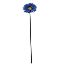 Picture of SINGLE GERBERA 21 INCH ROYAL BLUE/BLACK