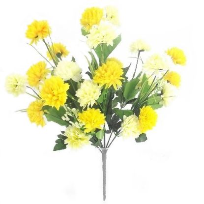 Picture of CHRYSANTHEMUM BUSH CREAM AND YELLOW