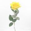 Picture of 55cm SINGLE OPEN ROSE YELLOW