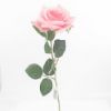 Picture of 55cm SINGLE OPEN ROSE PINK