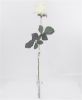 Picture of 66cm SINGLE PERFECT ROSEBUD WHITE