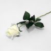 Picture of 66cm SINGLE PERFECT ROSEBUD WHITE