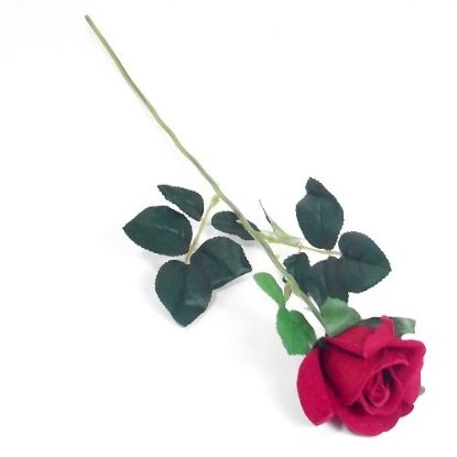 Picture of 54cm SINGLE VELVET ROSE RED 