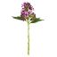 Picture of 38cm BUDDING HYDRANGEA SPRAY PURPLE