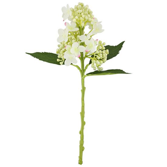 Picture of 38cm BUDDING HYDRANGEA SPRAY IVORY