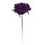 Picture of CURVE ROSE CAD PURPLE X 48pcs