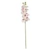 Picture of 106cm JAPANESE ORCHID SPRAY CREAM