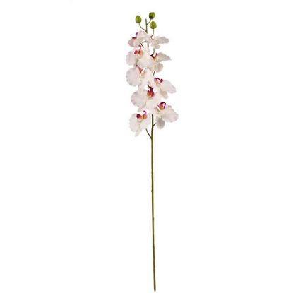 Picture of 106cm JAPANESE ORCHID SPRAY CREAM