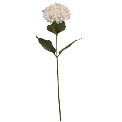 Picture of 69cm SINGLE HYDRANGEA CREAM