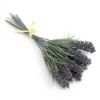 Picture of 24cm LAVENDER BUNDLE (12 STEMS) PURPLE