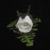 Picture of ROMANCE BRIDAL BUTTON HOLE CORSAGE WHITE