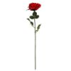 Picture of 68cm ELEGANCE ROSE STEM RED