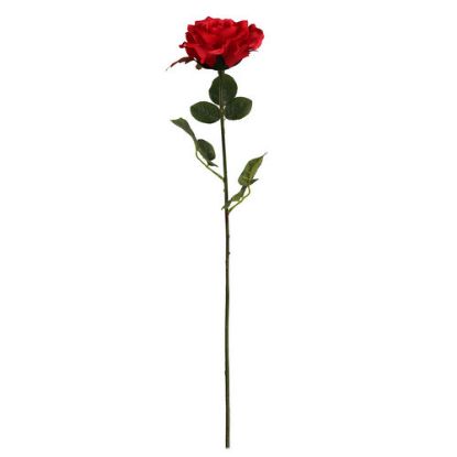 Picture of 68cm ELEGANCE ROSE STEM RED