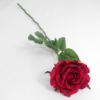 Picture of 68cm ELEGANCE ROSE STEM RED