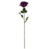 Picture of 68cm ELEGANCE ROSE STEM CAD PURPLE