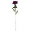 Picture of 68cm ELEGANCE ROSE STEM CAD PURPLE