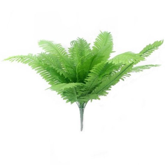 Picture of 53cm GIANT BOSTON FERN BUSH GREEN