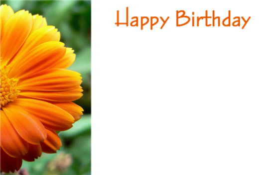 Picture of GREETING CARDS X 50 HAPPY BIRTHDAY - GERBERA ORANGE