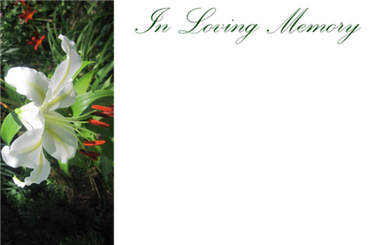 Picture of GREETING CARDS X 50 IN LOVING MEMORY - LILY WHITE