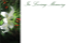 Picture of GREETING CARDS X 50 IN LOVING MEMORY - LILY WHITE