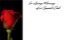 Picture of GREETING CARDS X 50 IN LOVING MEMORY OF A SPECIAL DAD - ROSE RED/BLACK