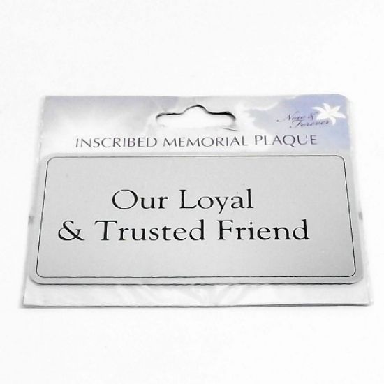 Picture of RECTANGULAR STICK-ON METAL PLAQUE SILVER - OUR LOYAL TRUSTED FRIEND (PP10S)