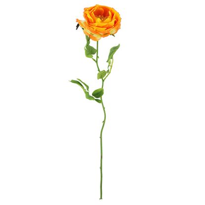 Picture of 75cm CHLOE ENGLISH OPEN ROSE ORANGE