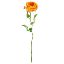 Picture of 75cm CHLOE ENGLISH OPEN ROSE ORANGE