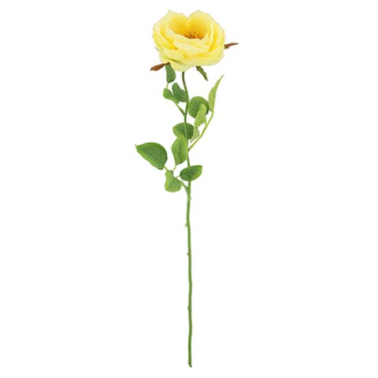 Picture of 75cm CHLOE ENGLISH OPEN ROSE LEMON