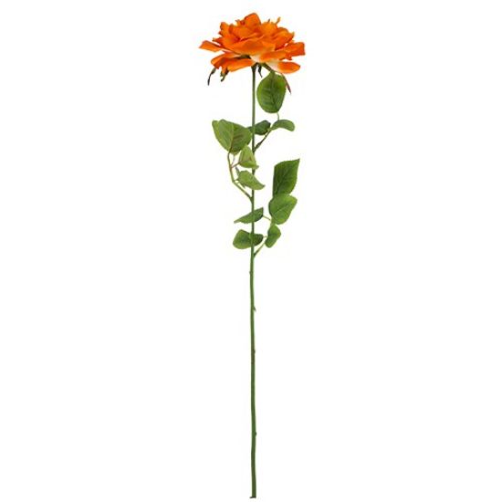 Picture of 74cm CHLOE LARGE TEA ROSE ORANGE