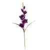 Picture of 60cm GLADIOLUS SPRAY PURPLE