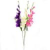 Picture of 60cm GLADIOLUS SPRAY PURPLE