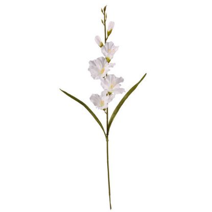 Picture of 60cm GLADIOLUS SPRAY CREAM