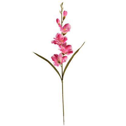 Picture of 60cm GLADIOLUS SPRAY PINK