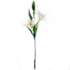 Picture of 84cm CASABLANCA LILY SPRAY IVORY/PINK X 24pcs (KNOCK DOWN PACKAGING - HEADS NEED ATTACHING)