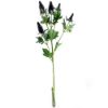 Picture of 77.5cm ERYNGIUM (SEA HOLLY) SPRAY PURPLE